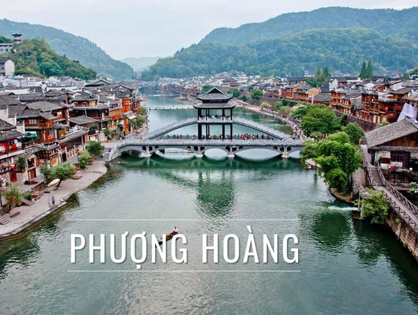 phuong-hoang-co-tran-2 phuong-hoang-co-tran