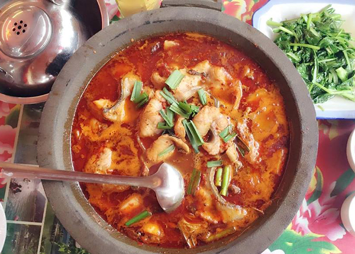 phuong-hoang-co-tran-mai-chi-lau-ca lau-ca-cay