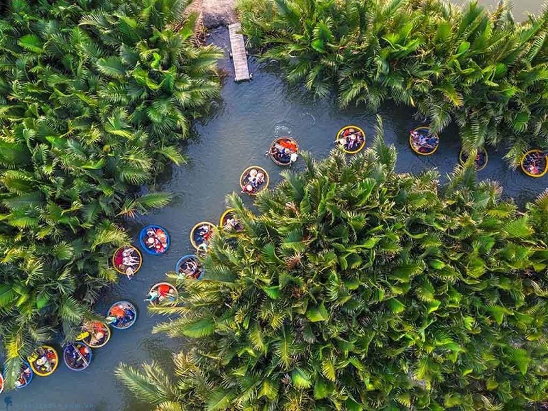 thamquanrungduabaymauhoian-1
