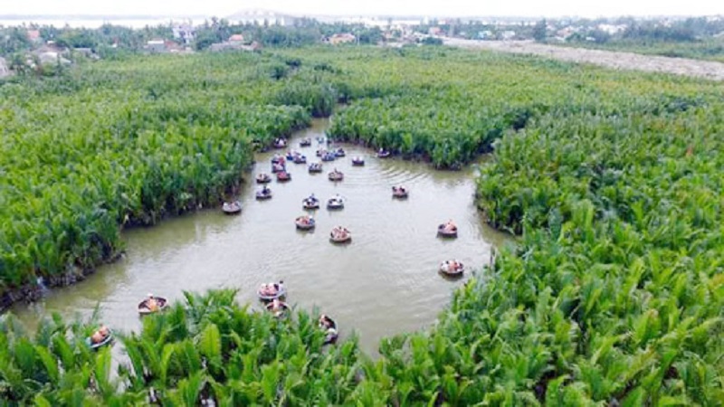 thamquanrungduabaymauhoian3