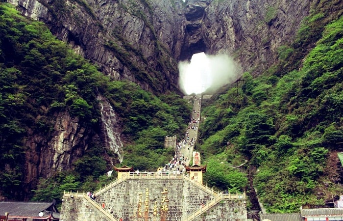 thienmonsonchonbonglaitiencanh1