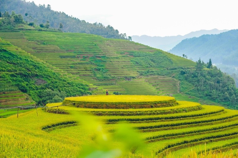 vedepdoimamxoimuavangmucangchai1
