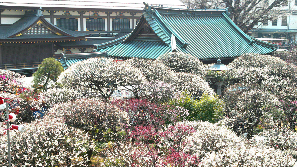 yushima tenji