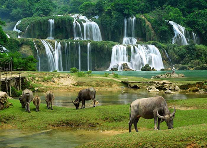 Tour Sapa 2 ngày 3 đêm từ Hà Nội bằng tàu hỏa