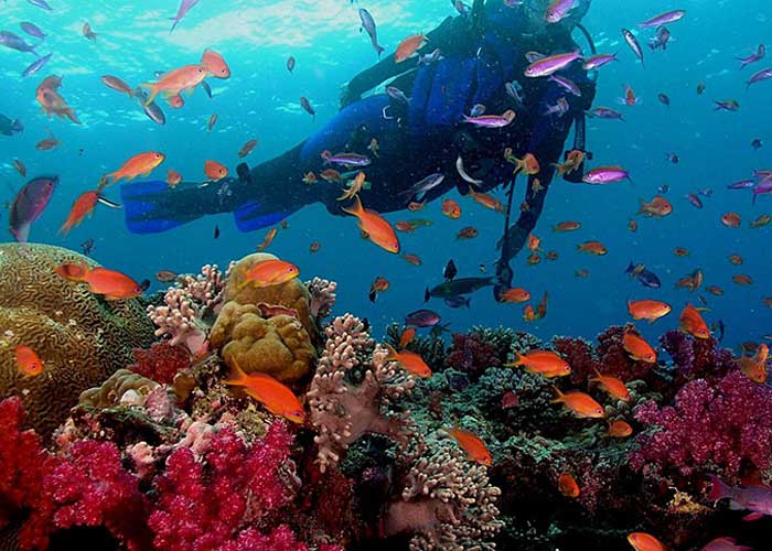 Tour du lịch Phuket - Thái Lan 4 ngày 3 đêm từ Hà Nội