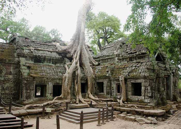 Du Lịch Campuchia 5 Ngày 4 Đêm (Bay Thẳng Hàng Không K6)