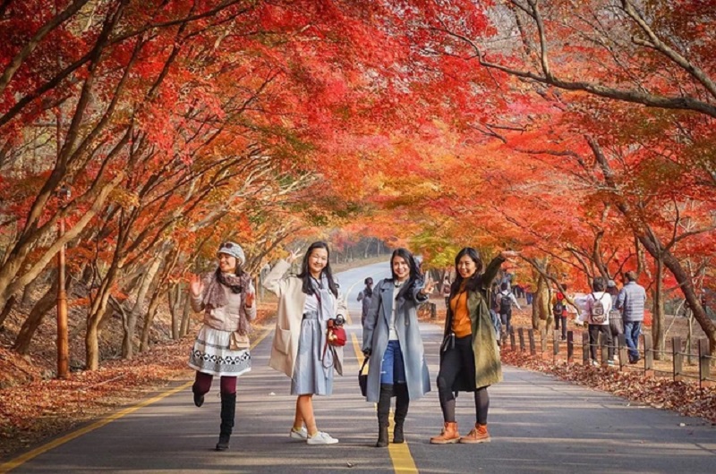 Tour Du Lịch Hà Nội – Seoul – Nami – Everland 5 Ngày 4 Đêm Mùa Lá Đỏ (Bay Vietjet Air)