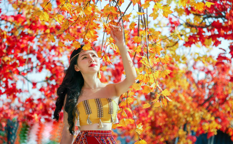 Tour Du Lịch Hàn Quốc Mùa Thu 6 ngày 5 Đêm Miễn Thị Thực Từ Hà Nội