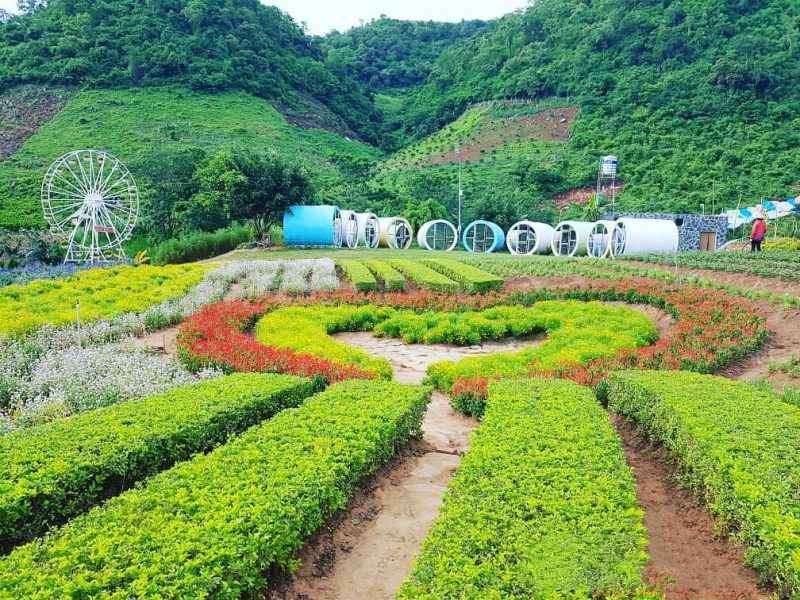 Du Lịch Mộc Châu 2 Ngày 1 Đêm Từ Hải Phòng