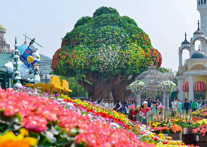 Tour Hàn Quốc 5 Ngày 4 Đêm Mùa Lá Đỏ (Bay OZ)