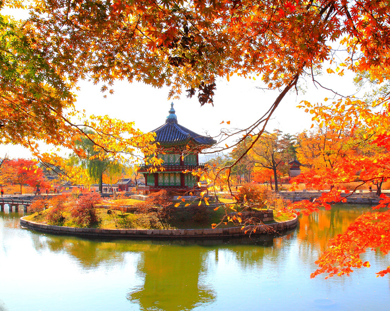 Tour du lịch Hàn Quốc mùa thu 6 ngày giá rẻ