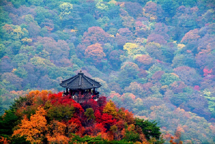 Tour Du Lịch Hàn Quốc 5 Ngày 4 đêm - Mùa Thu Seoul - Nami - Everland (Korean Air)