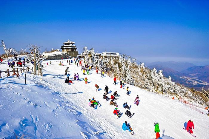 Tour Du Lịch Hàn Quốc 5 Ngày 4 Đêm - Trượt Tuyết Tại Yangji Pine (Bay Vietnam Airlines (VN))