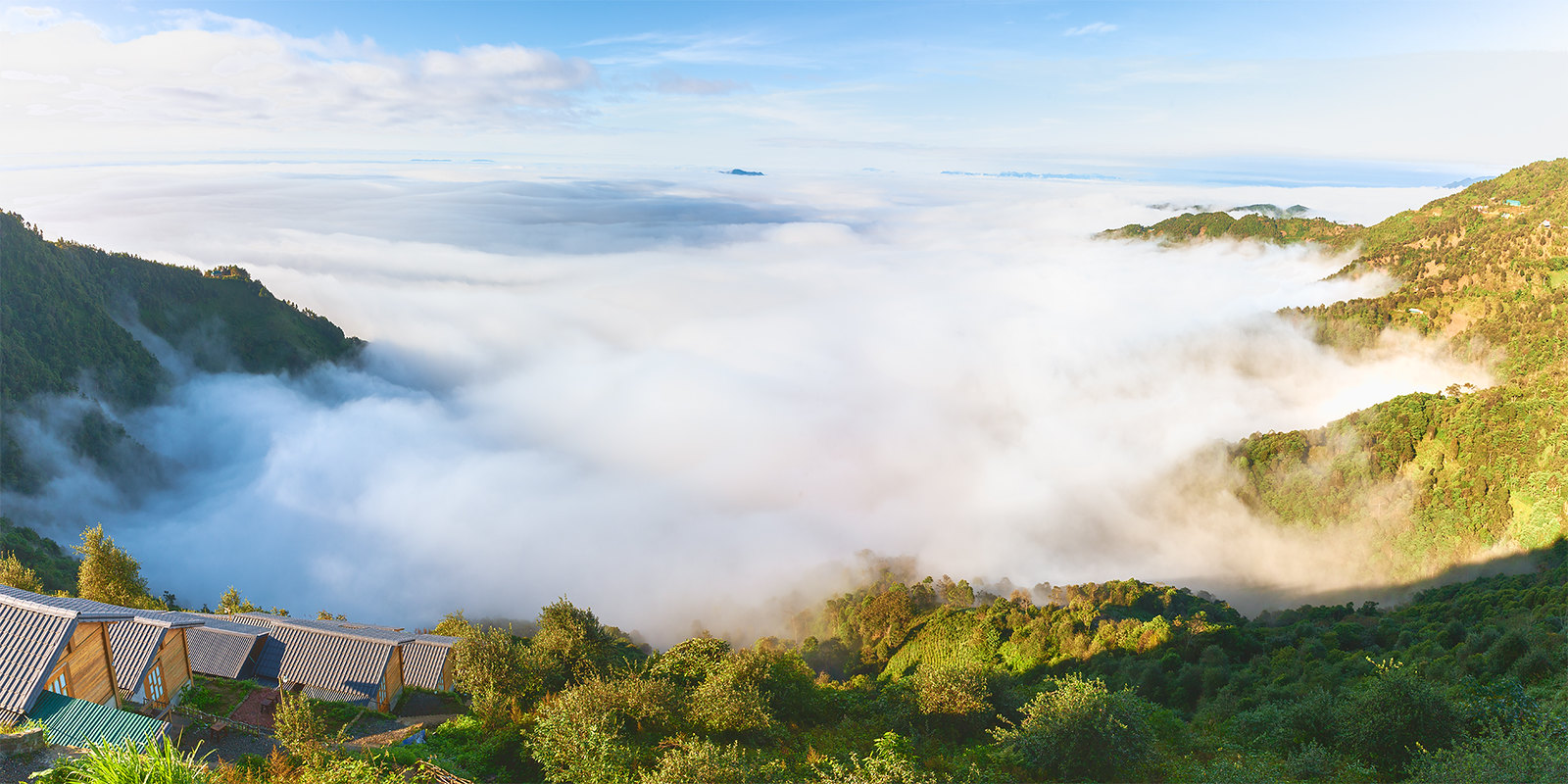 DU LỊCH 2026 SĂN MÂY TÀ XÙA - CHINH PHỤC SỐNG LƯNG KHỦNG LONG