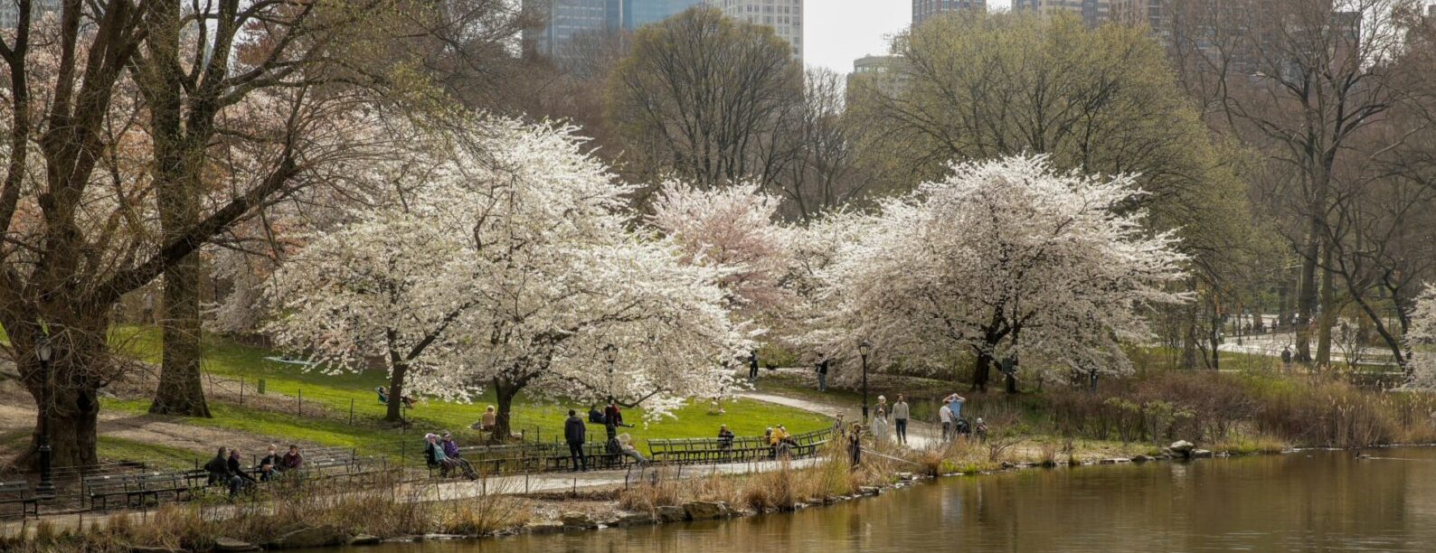 TOUR ĐÓN HOA ANH ĐÀO VÀ NGÀY LỄ 30/4 LIÊN TUYẾN ĐÔNG TÂY HOA KỲ 2026 KHỞI HÀNH TP HỒ CHÍ MINH 5/4