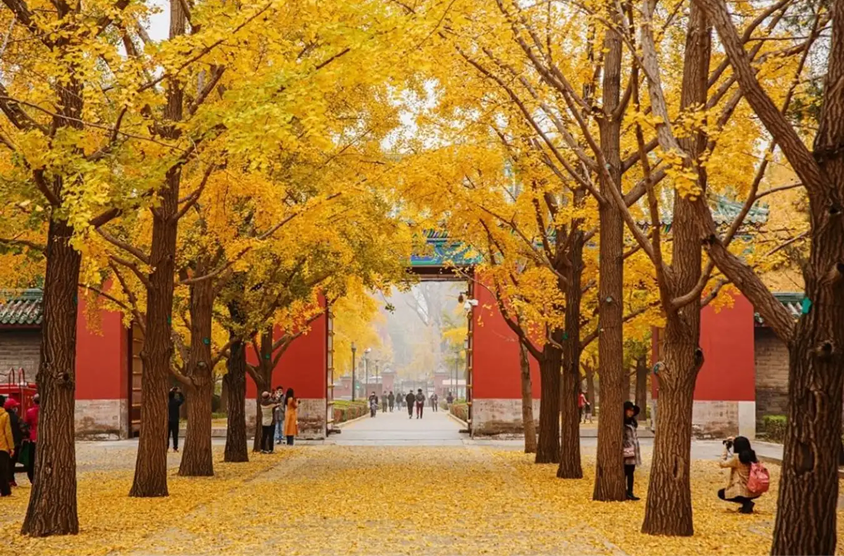 Thời tiết Trung Quốc tháng 11