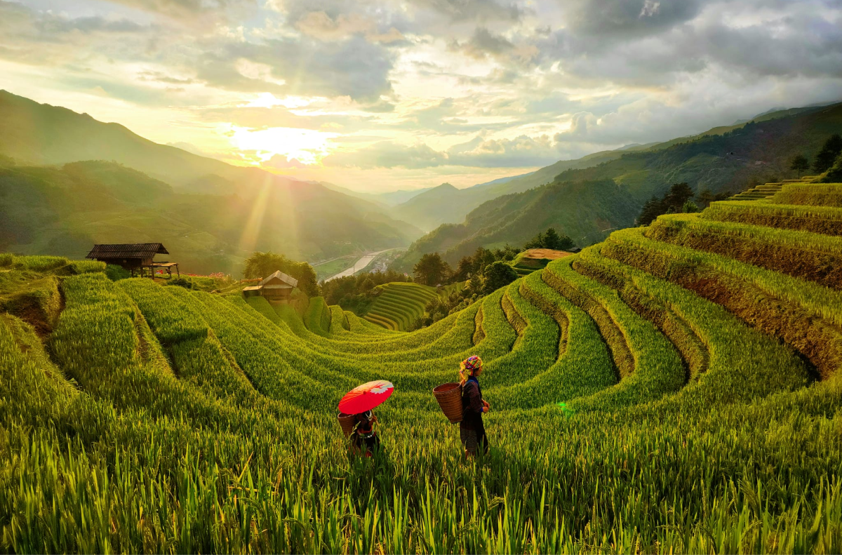 Mù Cang Chải (Yên Bái)
