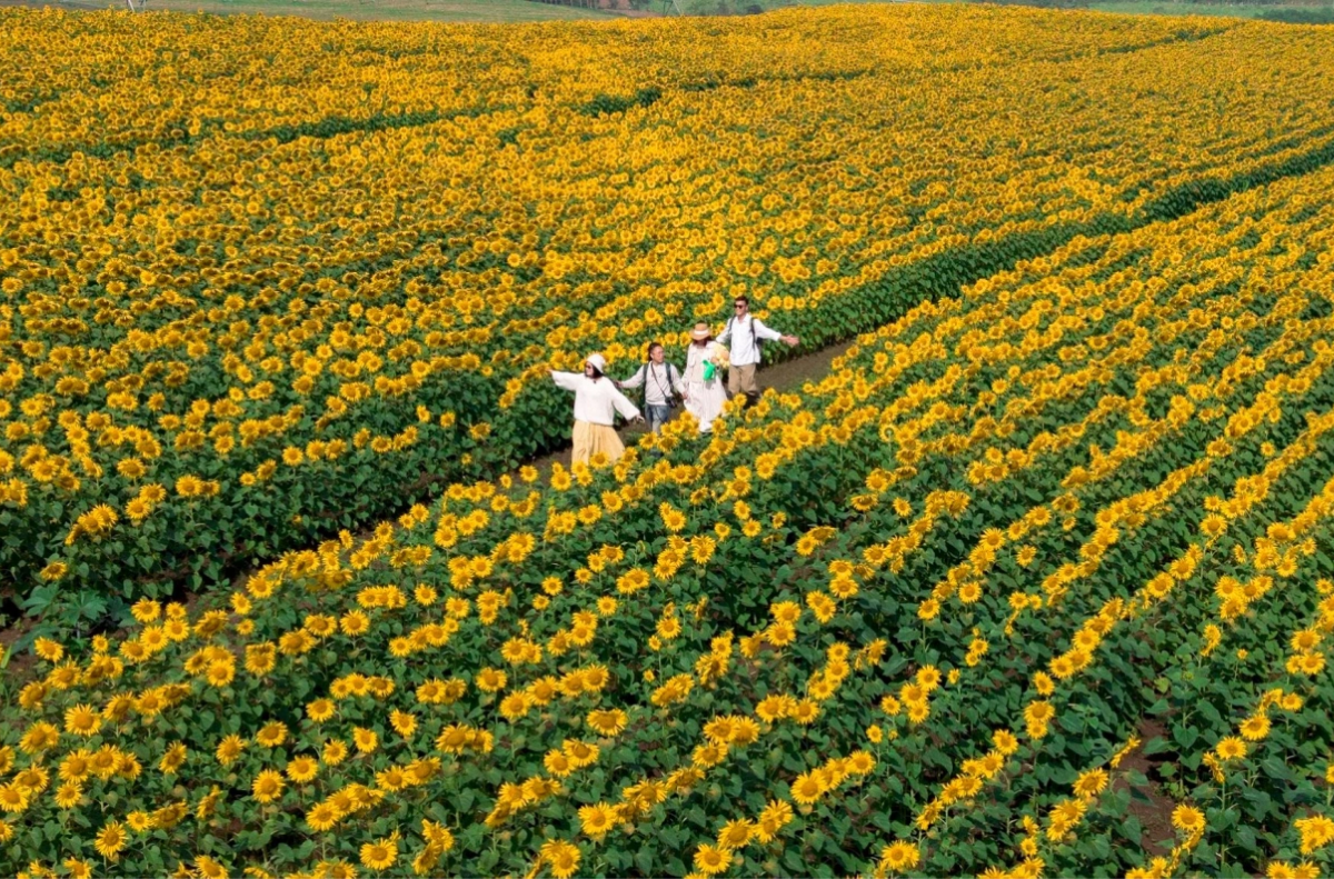 Nghệ An - quê hương của Chủ tịch Hồ Chí Minh vĩ đại