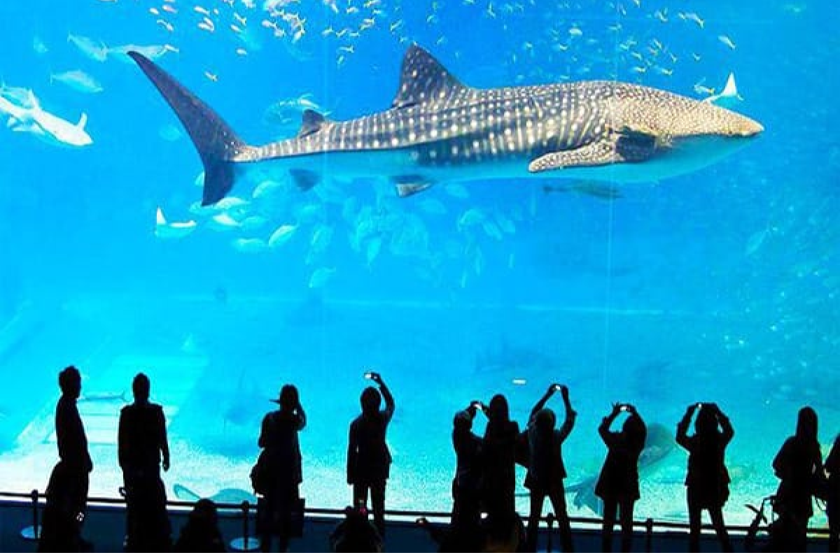 Thủy Cung SEA LIFE Bangkok Ocean World