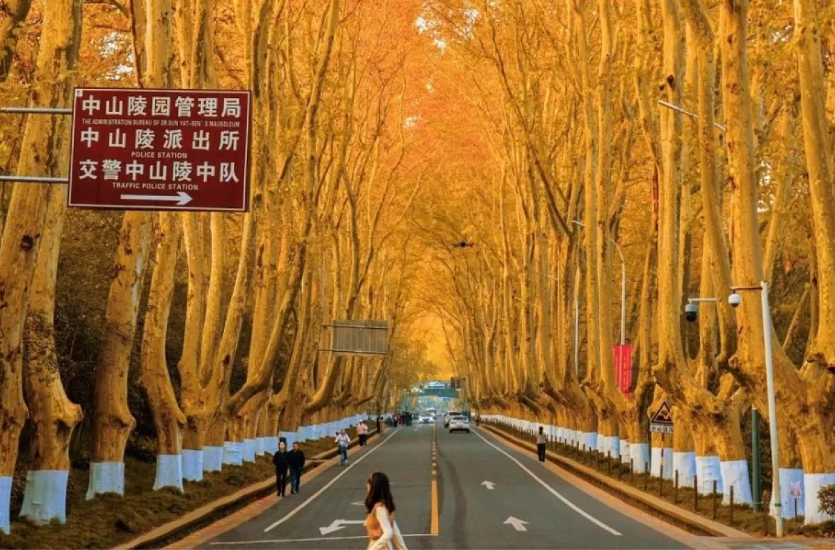 Tổng quan về khí hậu Thượng Hải