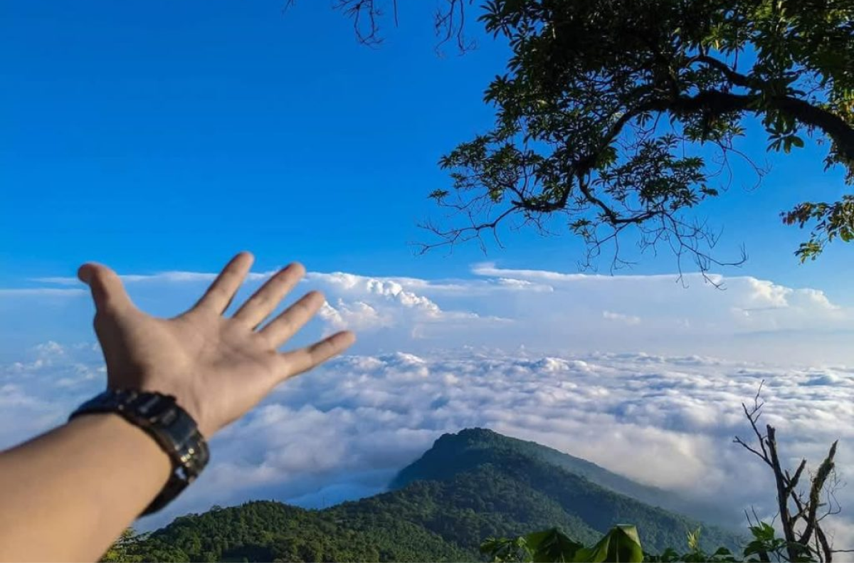 Vườn Quốc Gia Ba Vì (Hà Nội)