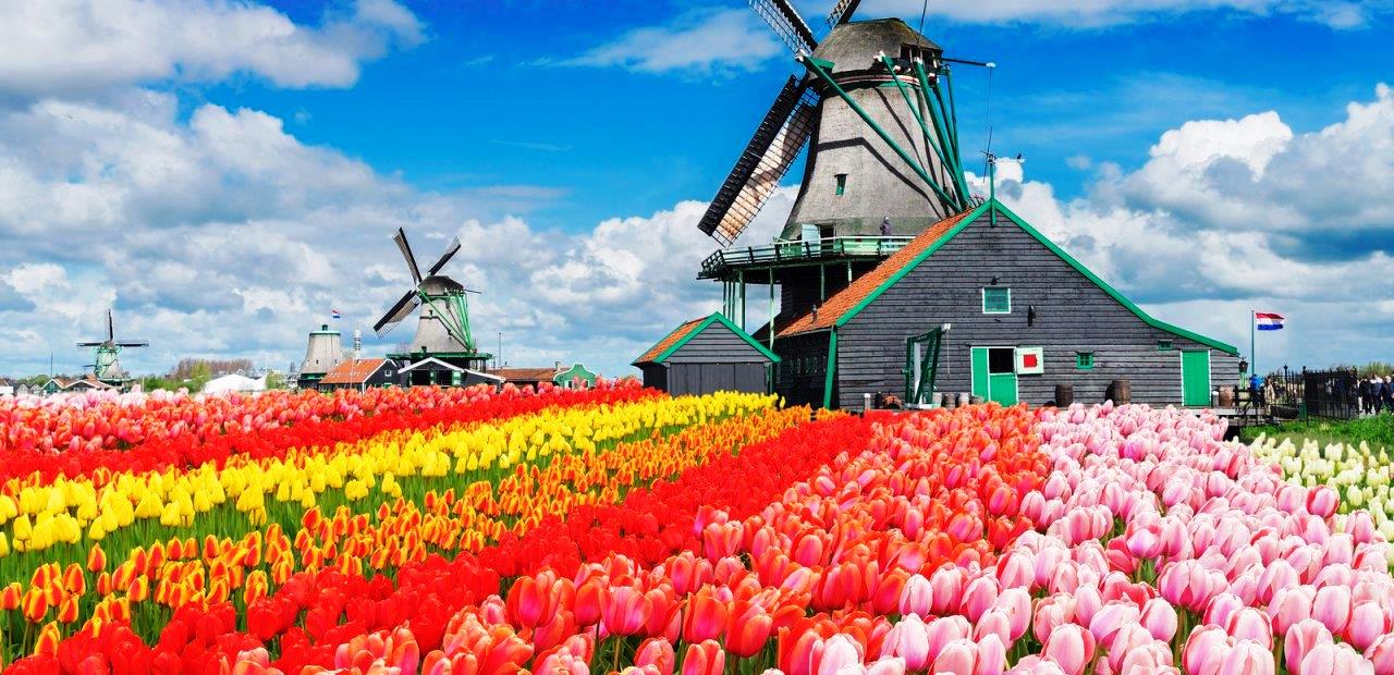 THƯỞNG NGOẠN LỄ HỘI HOA TULIP Ý - THUỴ SĨ – ĐỨC - HÀ LAN - BỈ - PHÁP MILAN – LUCERNE - ENGELBERG – COLMAR – STRASBOURG – FRANKFURT – KEUKENHOF – AMSTERDAM - ZAANSE SCHANS – BRUSSELS – PARIS