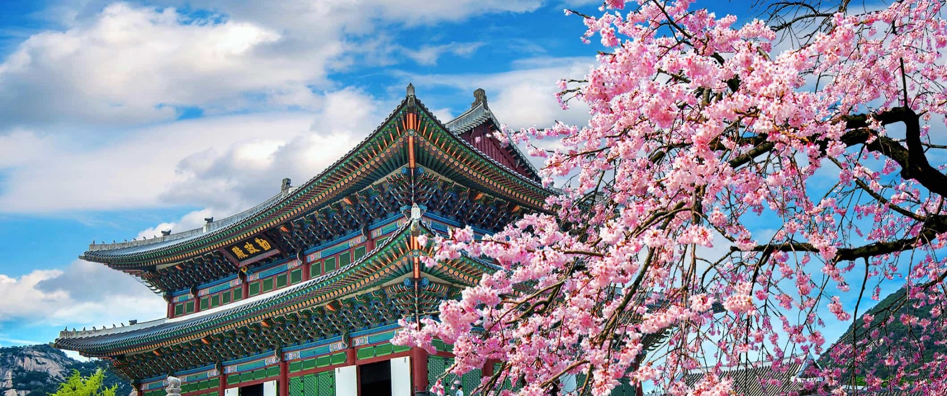 KHÁM PHÁ XỨ SỞ KIM CHI HÀ NỘI - SEOUL – ĐẢO NAMI – THÁP TRUYỀN HÌNH NAMSAN - CV EVERLAND – THƯ VIỆN STARFIELD – HÀ NỘI 2026