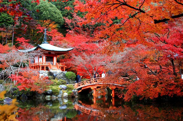 Du lịch mùa lá đỏ Nhật Bản, mùa lá đỏ, du lịch Nhật Bản, mùa lá đỏ Nhật Bản, cẩm nang du lịch mùa lá đỏ Nhật Bản, Du Lịch Xanh