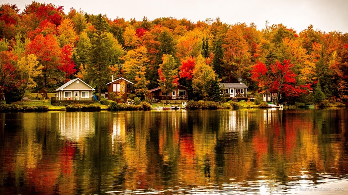Top 8 Địa điểm ngắm lá mùa thu đẹp nhất khi du lịch Mỹ - Tin tức phổ thông