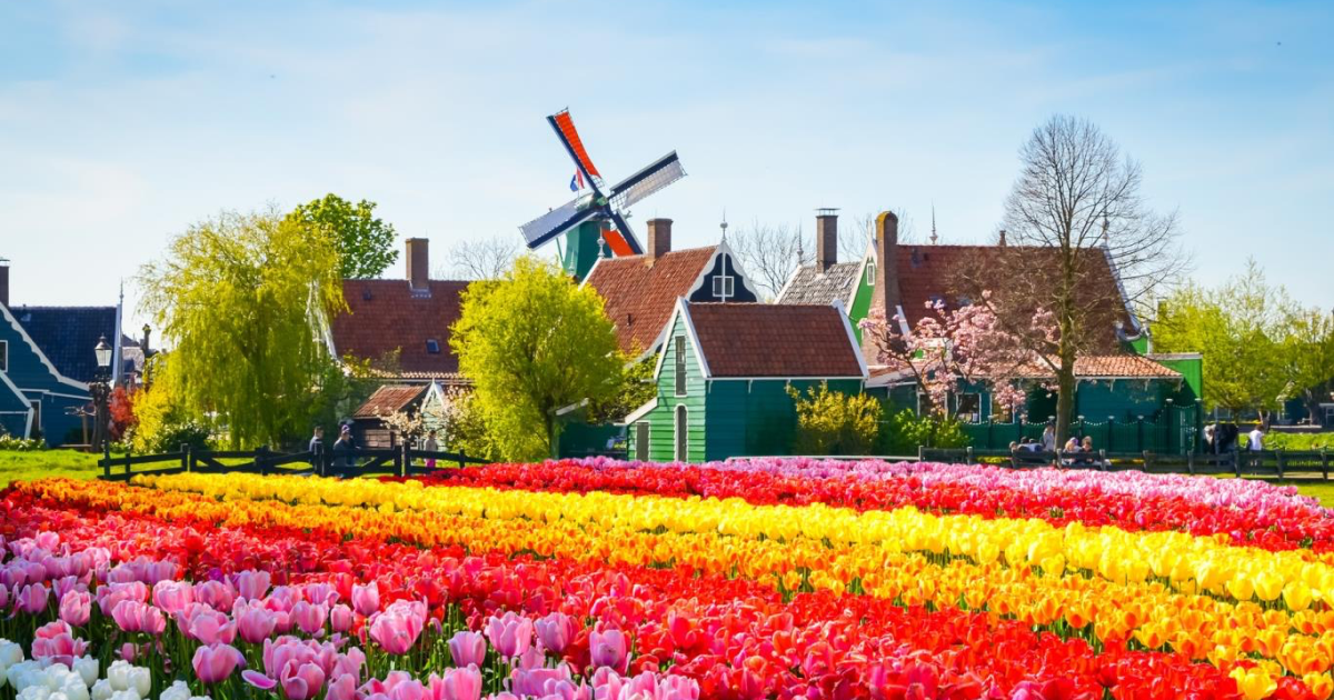 ĐÓN TẾT NGUYÊN ĐÁN TẠI CHÂU ÂU ĐỨC – HÀ LAN – BỈ - LUXEMBOURG - PHÁP