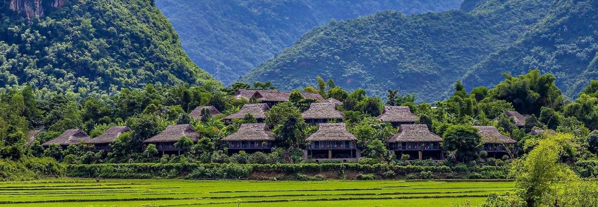 DU LỊCH 2026 MAI CHÂU - MỘC CHÂU - CẦU KÍNH BẠCH LONG