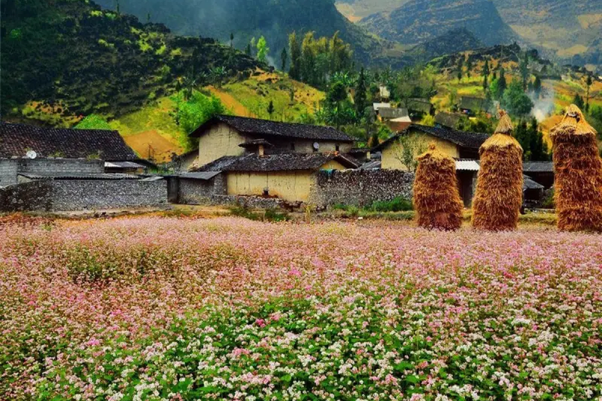 Thung lũng Sủng Là cảnh đẹp nên thơ