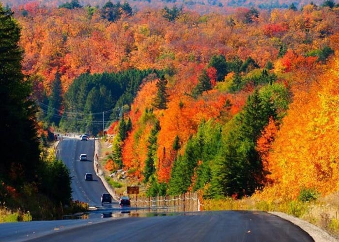 Chiêm ngưỡng vẻ đẹp tại Canada mùa thu