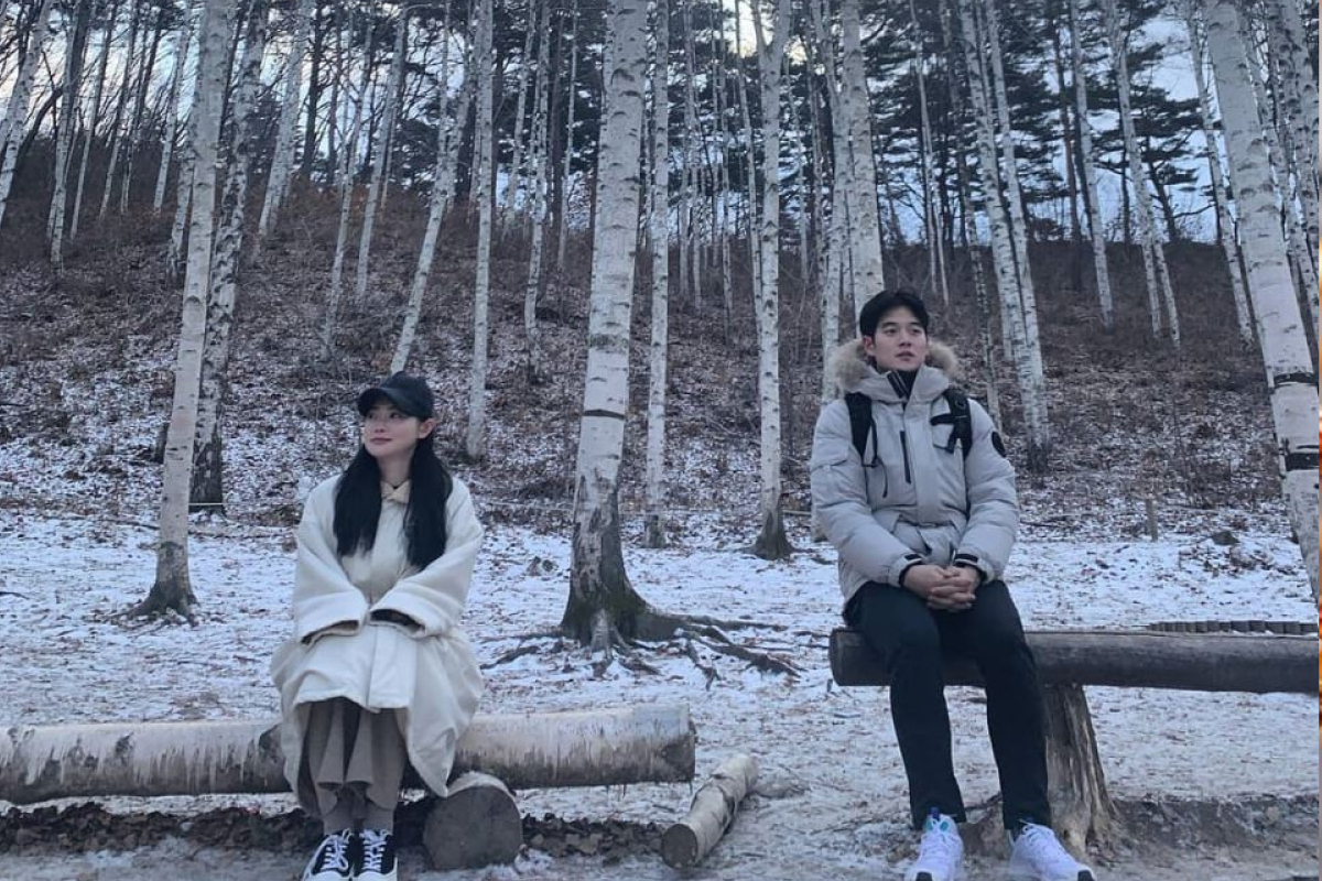 Rừng bạch dương Wondaeri mùa đông là “thiên đường sống ảo” thực thụ