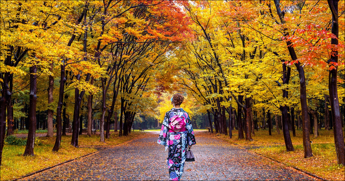 CUNG ĐƯỜNG VÀNG NHẬT BẢN 2025 TOKYO – PHÚ SĨ – KYOTO – OSAKA (NO SHOP)