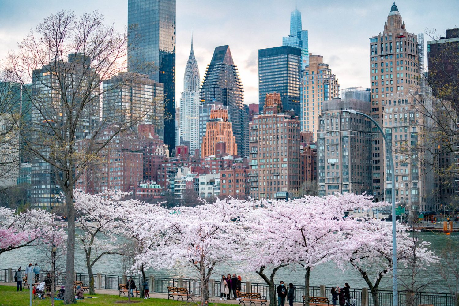 TOUR MỸ HOA ANH ĐÀO 2026 TẶNG VÉ VÀO CỬA: PHIM TRƯỜNG UNIVERSAL - ĐẠI VỰC GRAND CANYON KHỞI HÀNH HÀ NỘI 22/3