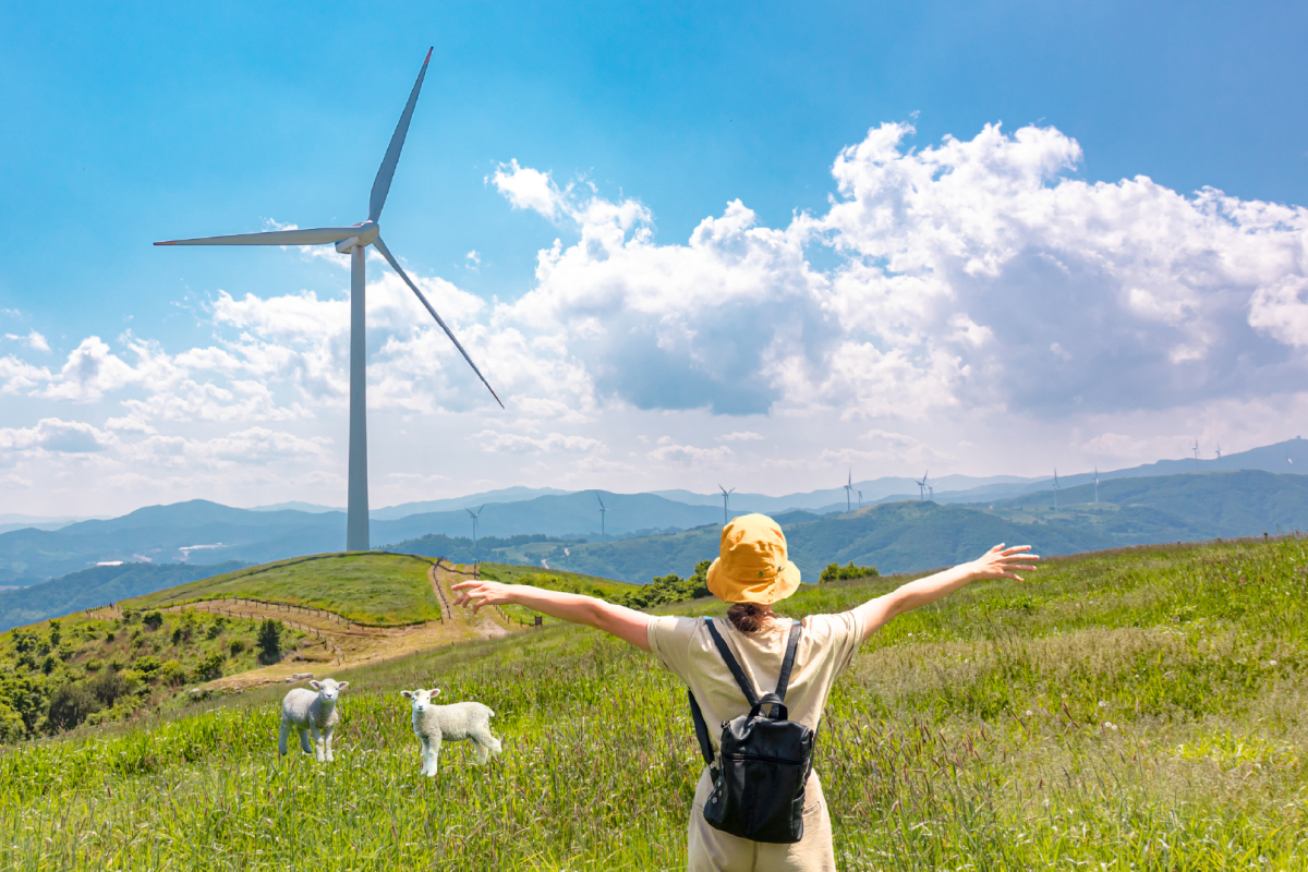 Trang trại cừu Daegwallyeong được xây dựng vào năm 1988