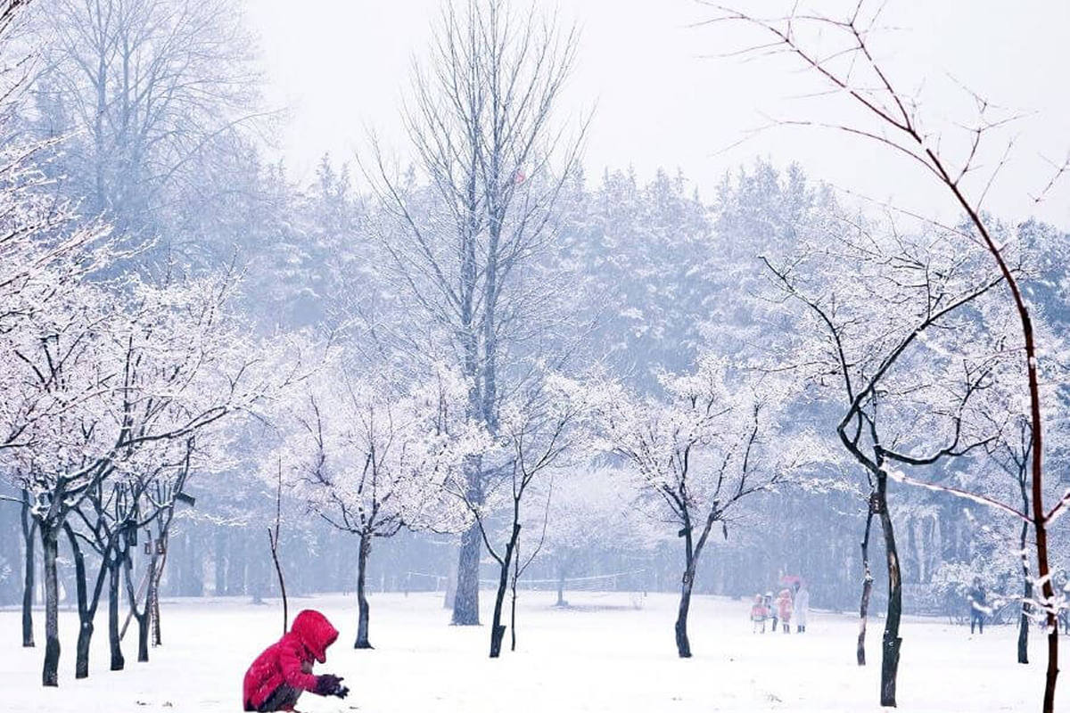 Lưu ý khi du lịch đảo Nami mùa đông