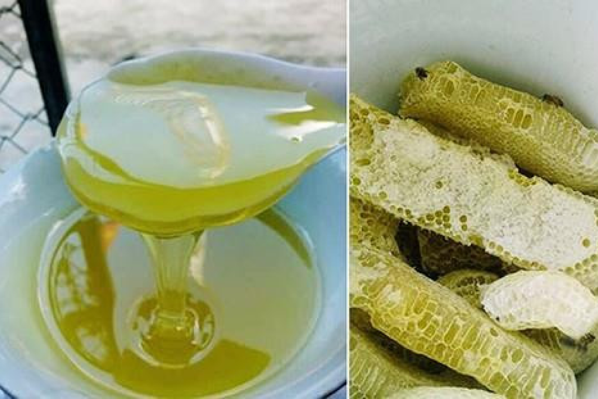 Mật ong bạc hà là một trong những đặc sản Hà Giang nổi tiếng nhất, được khai thác từ những ruộng hoa bạc hà nở rộ trên cao nguyên đá Đồng Văn