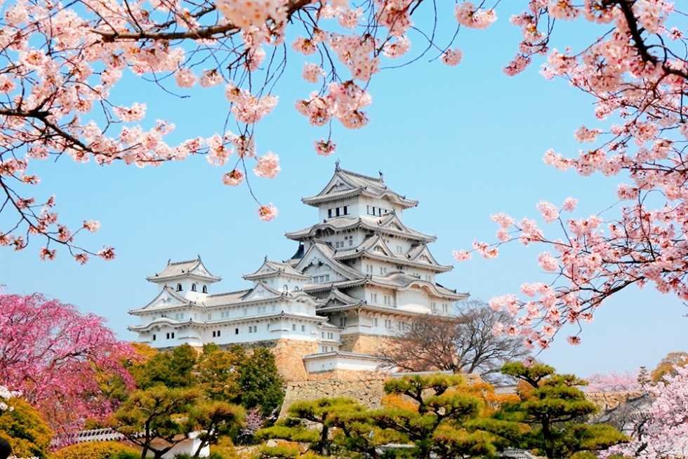 Những điều bạn nên biết khi đi du lịch Nhật Bản tháng 4