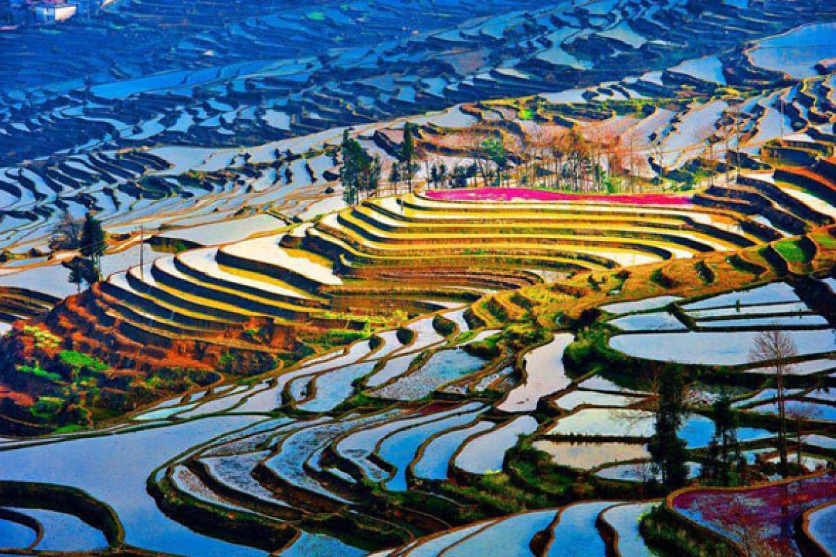 Ruộng bậc thang Nguyên Dương được người Hani tạo tác hơn 1.300 năm.