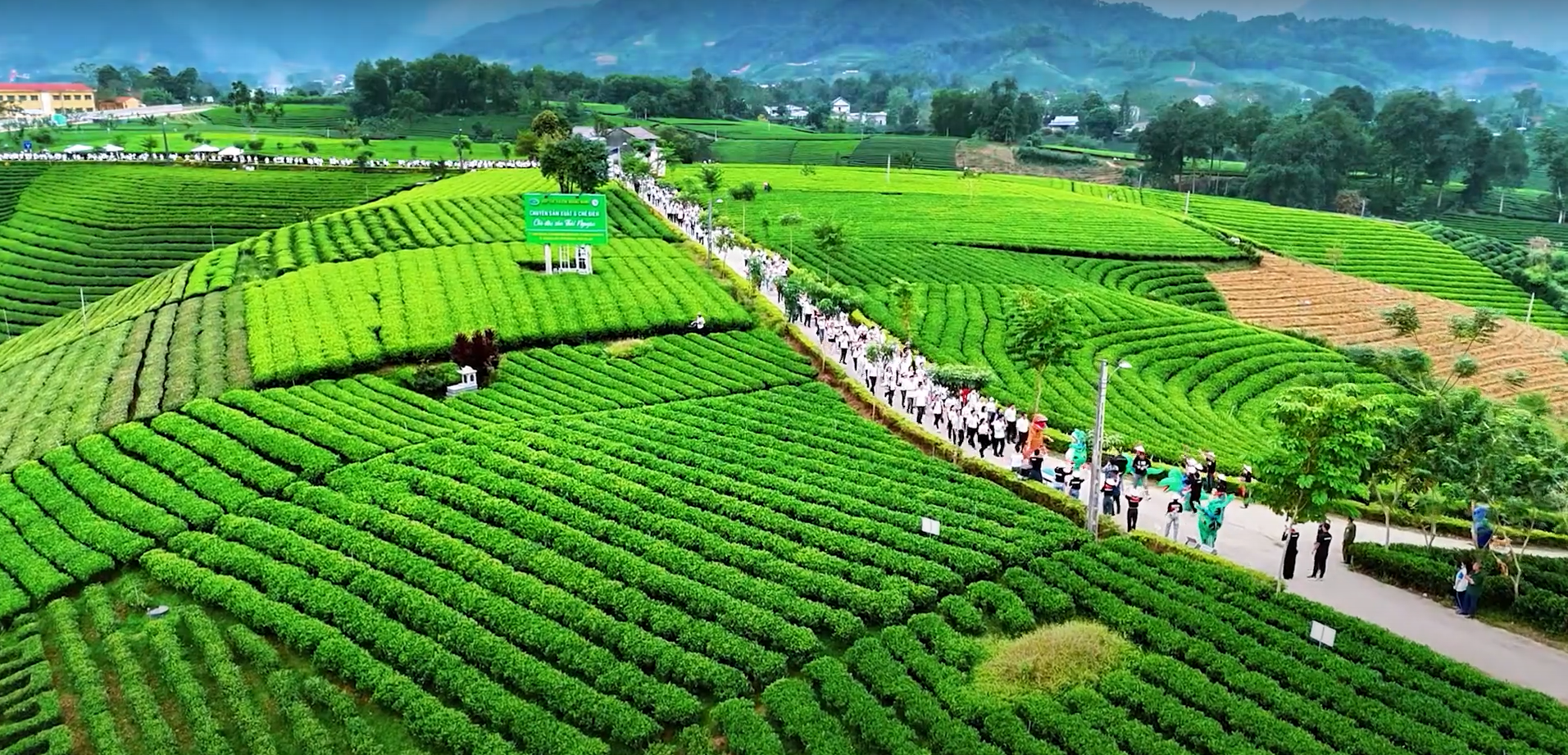 TOUR KHÁM PHÁ MỘC CHÂU MÙA HOA TRÁI