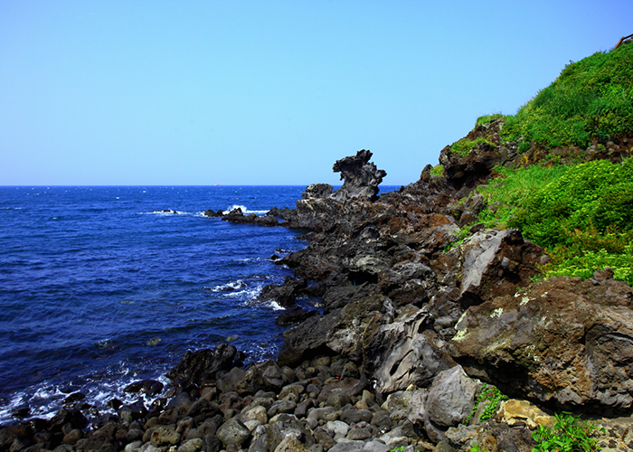 Đá đầu rồng Yongduam Rock biểu tượng của hòn đảo Jeju xinh đẹp