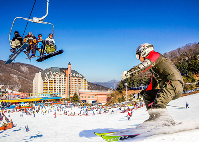 Trải nghiệm mùa đông xứ Hàn tại khu trượt tuyết Yangji Pine