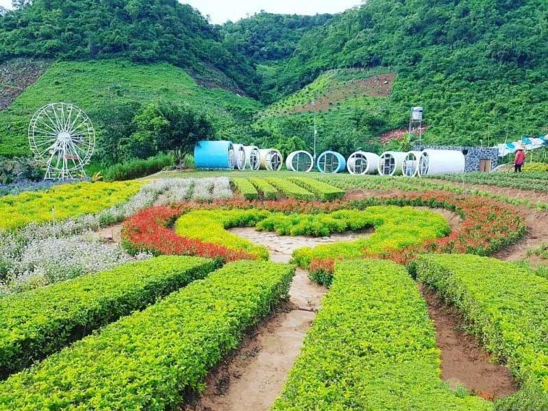 MỘC CHÂU - SĂN MÂY TÀ XÙA