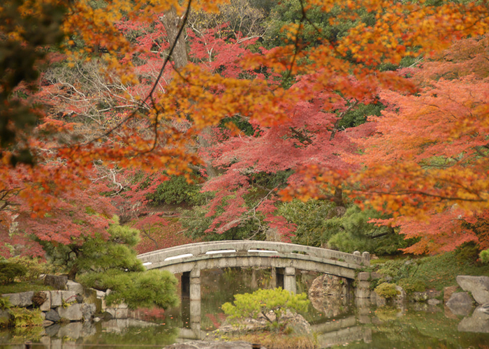 Cung điện Hoàng gia Kyoto – điểm đến nguy nga, tráng lệ ở xứ Phù Tang