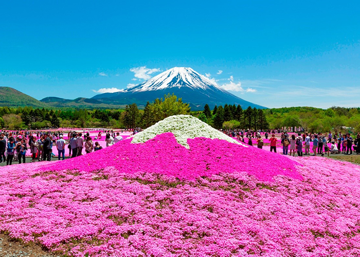 Tham quan núi Phú Sỹ - biểu tượng du lịch Nhật Bản