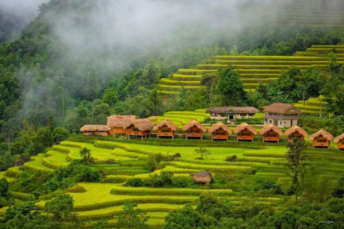 Homestay Hà Giang đang ngày càng được nhiều du khách yêu thích, đặc biệt là những ai đi theo hình thức du lịch Hà Giang tự túc