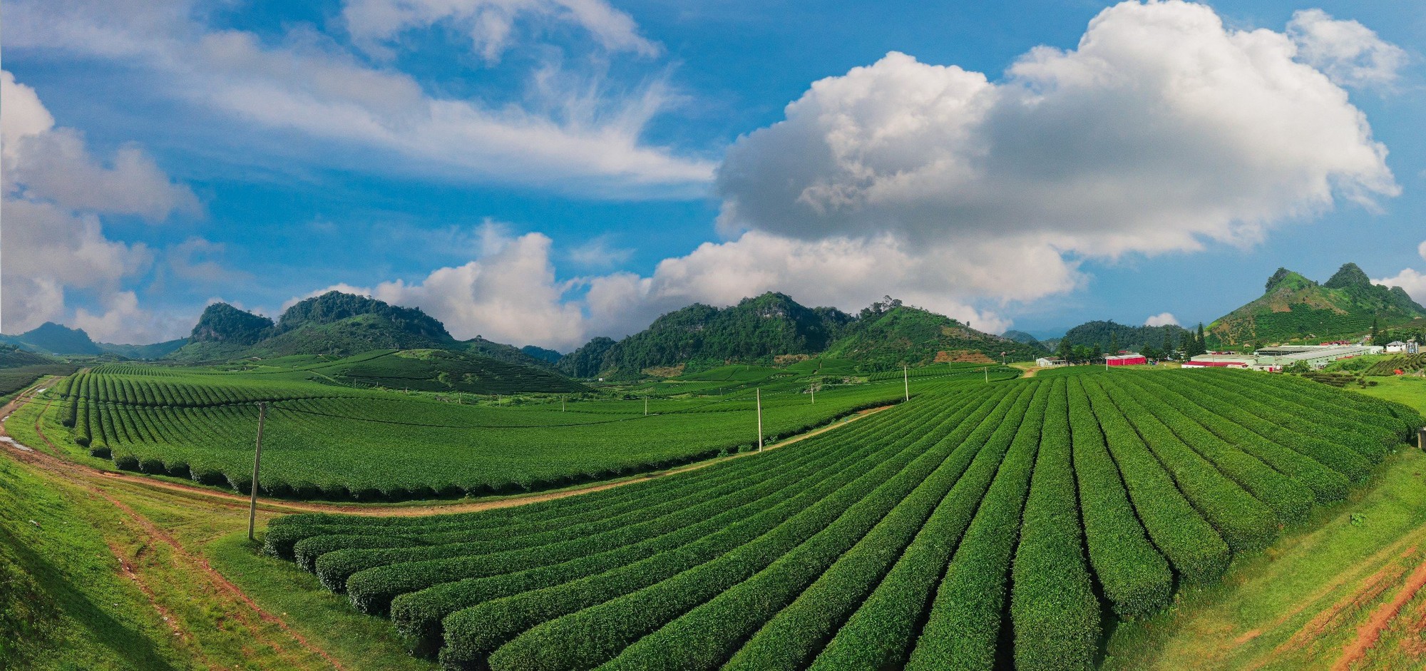 TOUR DU XUÂN SAPA - LAI CHÂU - ĐIỆN BIÊN - MỘC CHÂU - MAI CHÂU