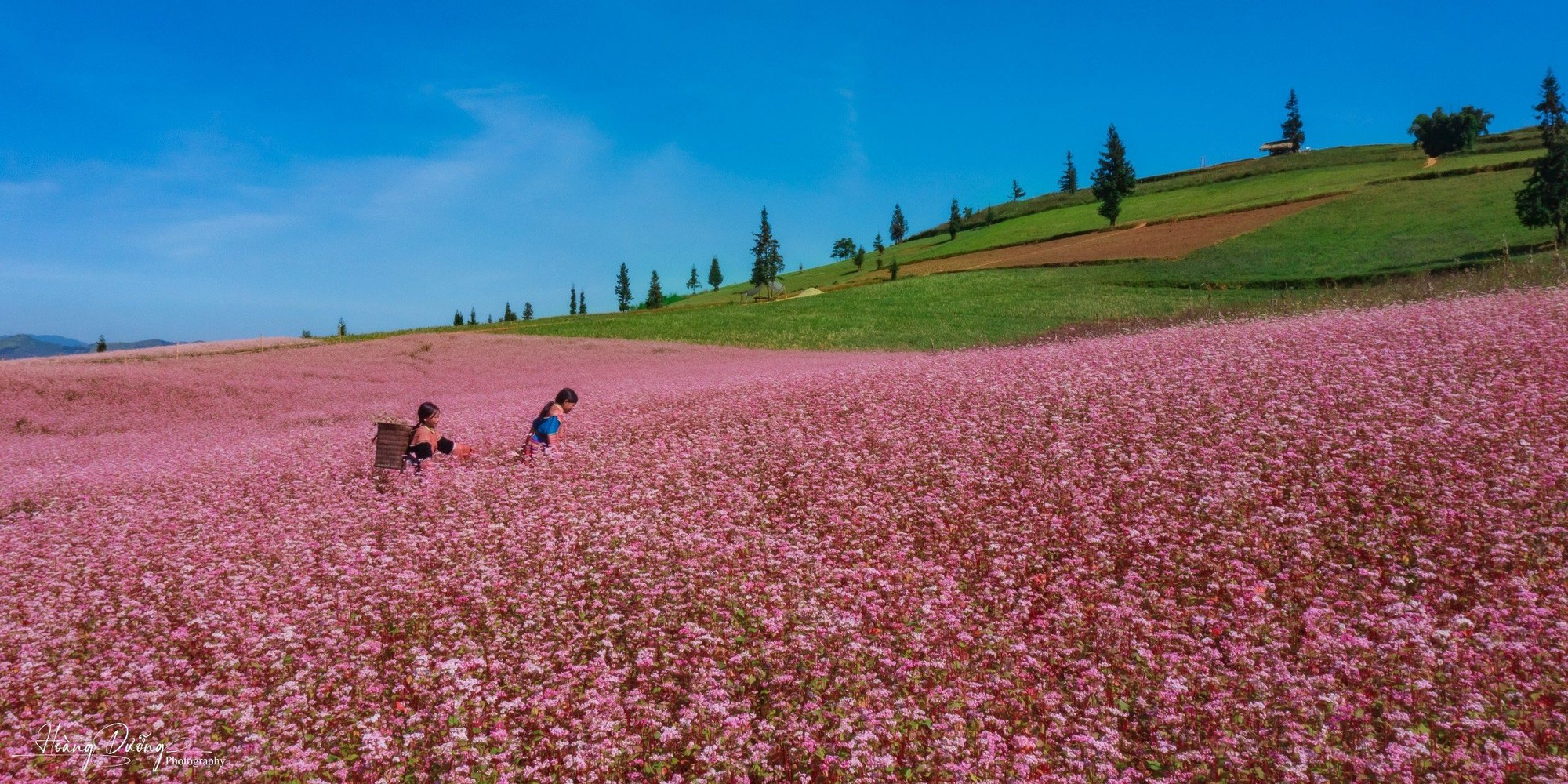 TOUR XUÂN 2026 HÀ GIANG - CAO NGUYÊN ĐÁ ĐỒNG VĂN - ĐÈO MÃ PÌ PÈNG - CỘT CỜ LŨNG CÚ - BẢN LÔ LÔ CHẢI